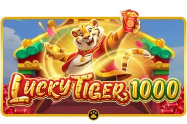 bet 360